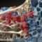 alekkks_Photorealistic_depiction_of_Osteoid_Tissue_showcasing_a_f71e14b9-62ba-41f5-9a9b-1c917b1389d6