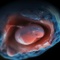 alekkks_Photorealistic_depiction_of_Rupture_of_Membranes_showca_e285469b-de20-4e94-bae2-6a2442bb7c7c
